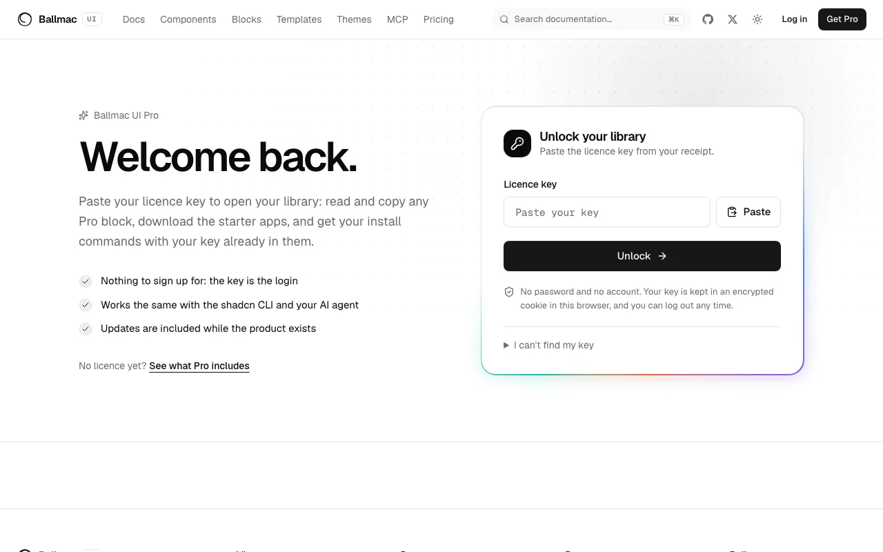 The Pro log in page, a single field for a licence key.