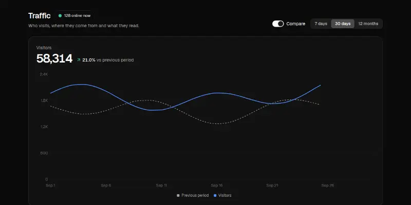 Dashboard 2: traffic analytics preview