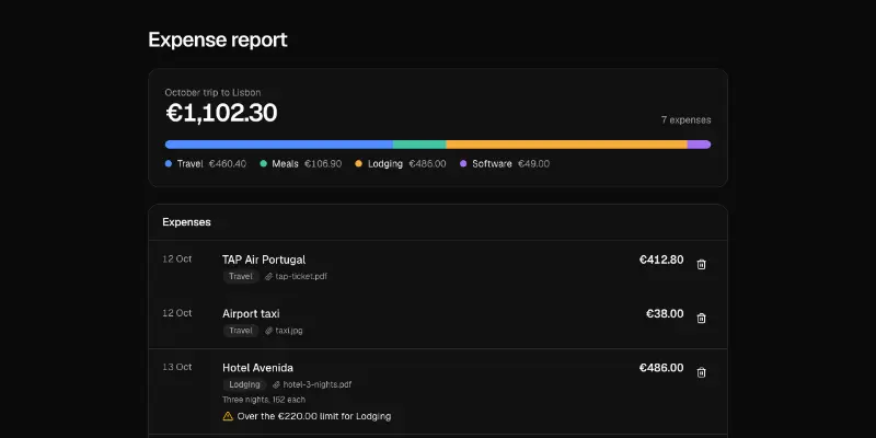 Expenses 1: expense report preview