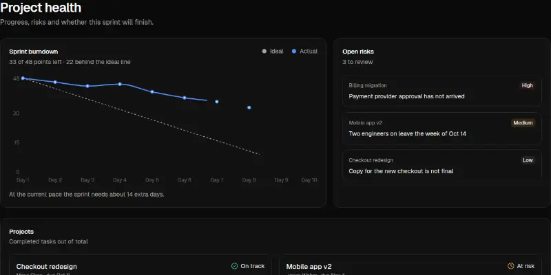 Dashboard Pro 8: project health and burndown preview